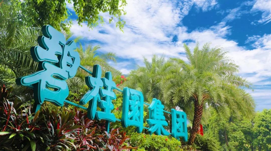 探路新發展模式，碧桂園實現良性循環