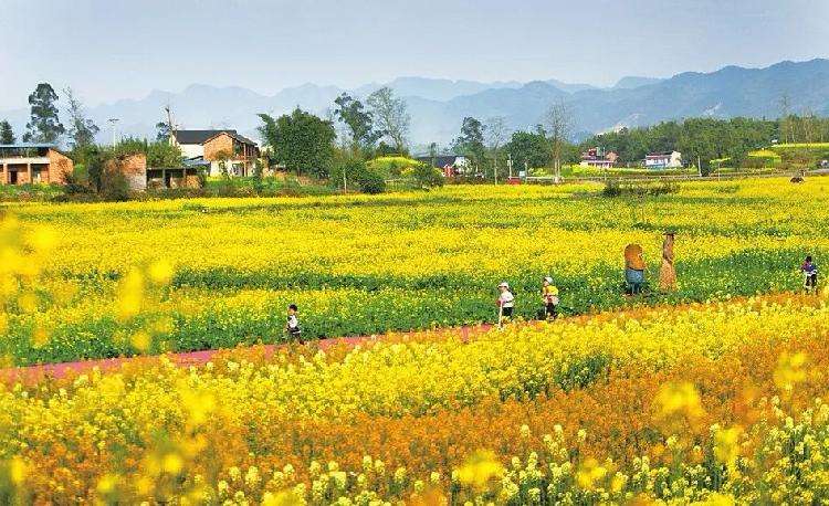 文化特色是鄉村旅游開發的魂魄