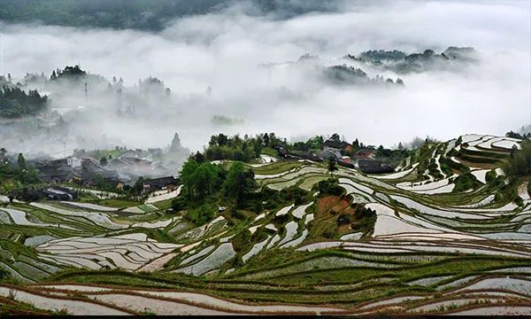 如何讓農(nóng)業(yè)文化遺產(chǎn)賦能鄉(xiāng)村振興？