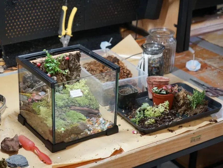 打造“環(huán)境友好型商場”，除了綠植鮮花，還有哪些新玩法？
