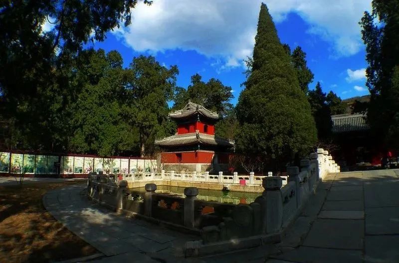 寺廟，為什么成了這屆年輕人旅游觀光的「必去」C位？