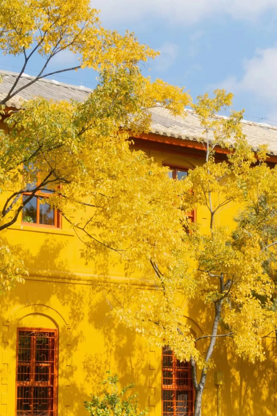 “盛唐密盒”爆火，曲江文旅將打造國(guó)產(chǎn)版環(huán)球影城？