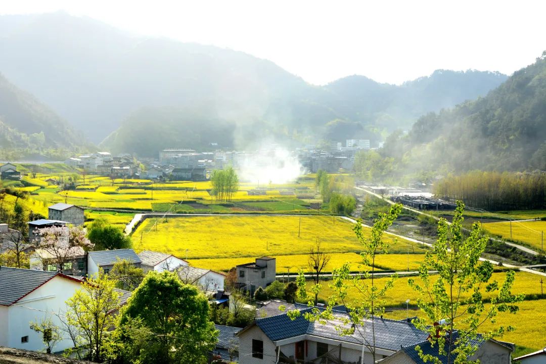 鄉(xiāng)村旅游的下半場(chǎng)出路在何方？