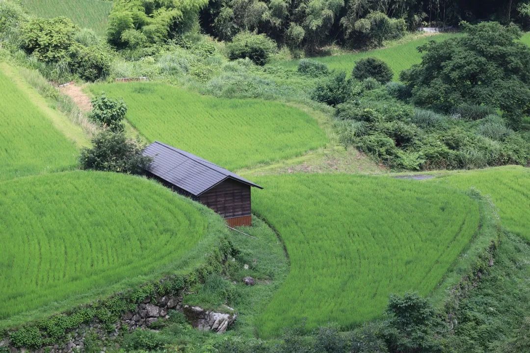 當前鄉村旅游發展與鄉村振興實施的幾個問題——以日本的發展為例
