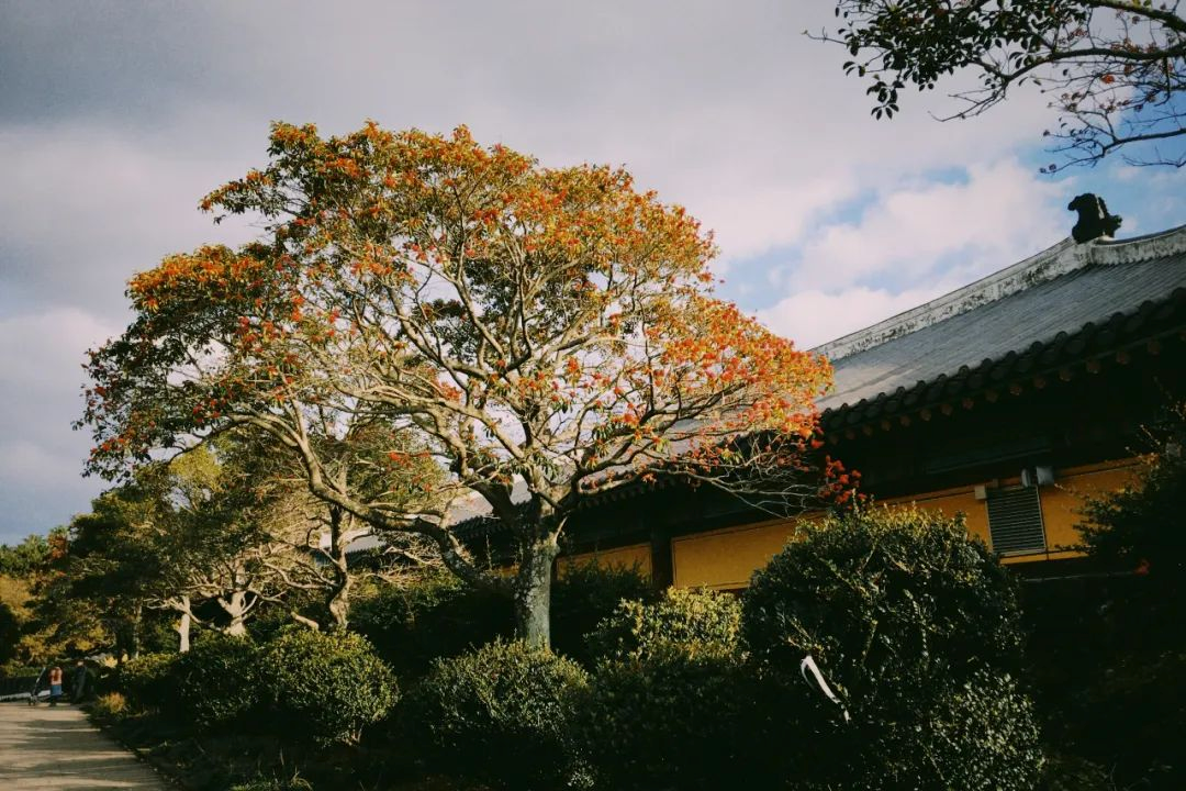 從農家樂到鄉村旅居，中國鄉村旅游的崛起之路