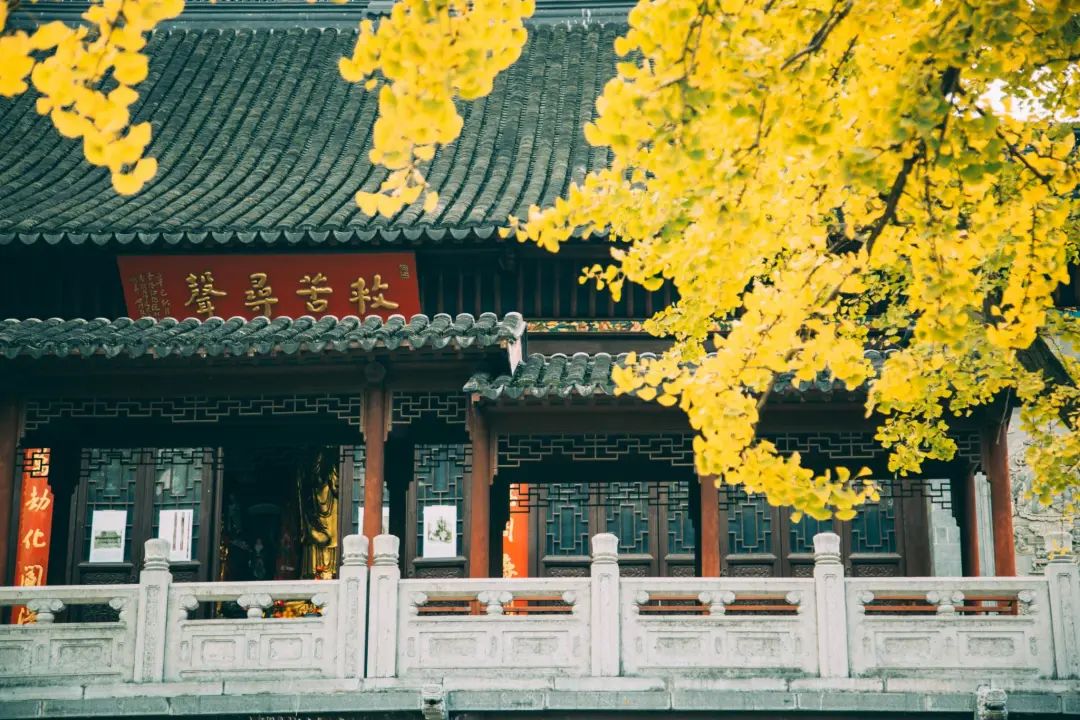 從“佛系青年”到“佛的青年”，寺廟經濟如何俘獲年輕人