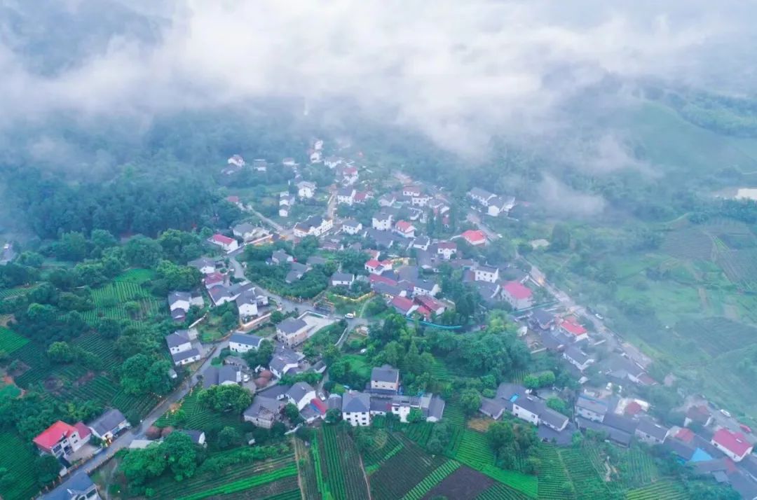 “文創燈光第一村”安吉蔓塘里，憑什么？
