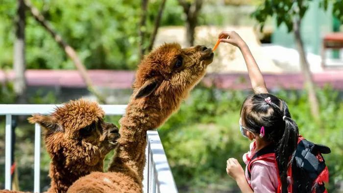 勢能飆升的文旅思維，如何締造商業(yè)消費新主場？
