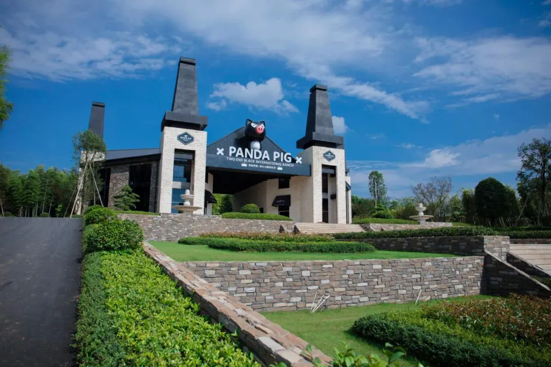 從養豬場到服務區，原來文旅還能這么玩