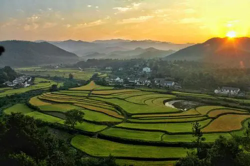 從大景區(qū)到小村莊，“鄉(xiāng)味”旅游為何亮眼？
