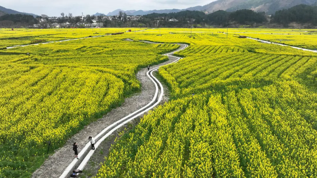 沉浸研學(xué)融入鄉(xiāng)村振興，“五感全開”重塑鄉(xiāng)村文旅