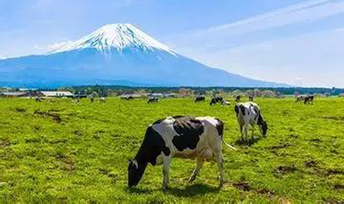 【案例】日本四大典型觀光牧場(chǎng)：教你如何玩轉(zhuǎn)農(nóng)場(chǎng)營(yíng)銷