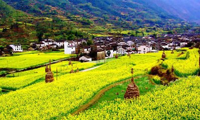 產(chǎn)業(yè)紅火背后面臨成長煩惱 鄉(xiāng)村旅游如何健康成長