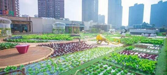 昆明愛琴海天空農(nóng)場：在購物中心里塑造都市田園休閑生活