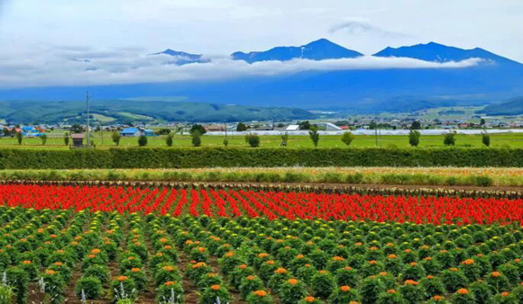 2018年四川將打造100個(gè)農(nóng)業(yè)互聯(lián)網(wǎng)特色小鎮(zhèn)