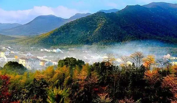 森林特色小鎮(zhèn)之爭：不僅有高顏值，還要有高業(yè)績
