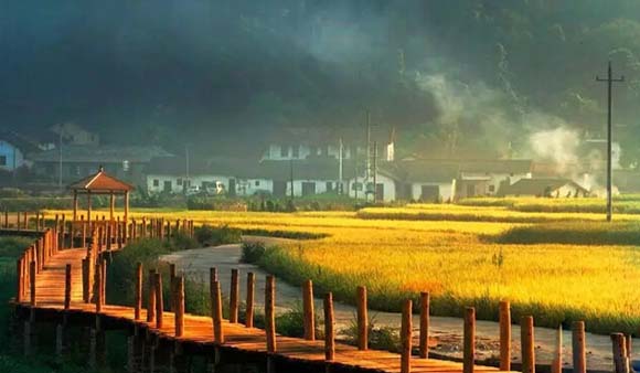 特色小鎮(zhèn)成功建設三大特征：靠都市、強資源、有共識