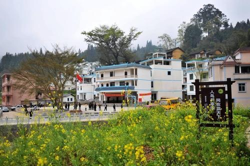 打出組合拳，六大鄉村產業將迎政策力挺
