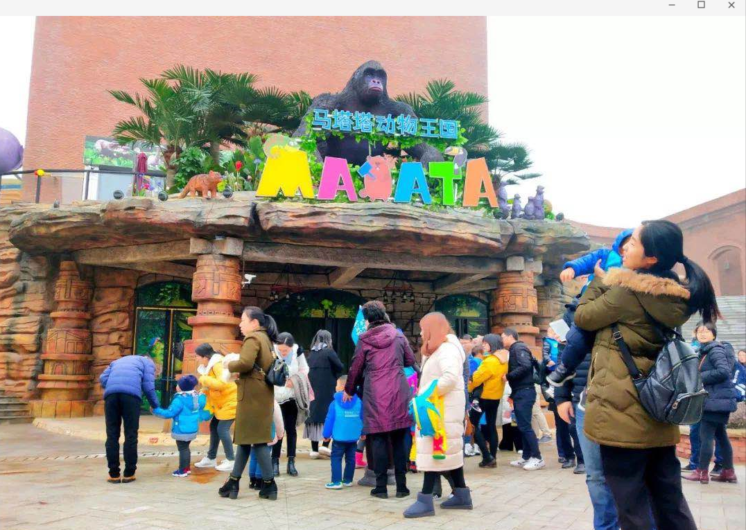 合肥商業體驗類業態加碼，室內動物園受到市場熱捧