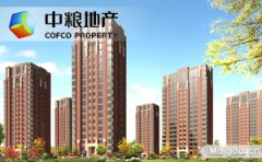 中糧地產系未擠入行業第一陣營 黃金十年錯失了什么？