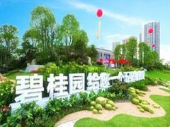 碧桂園艱難“漲價” 三四線模式與去庫存下的挑戰