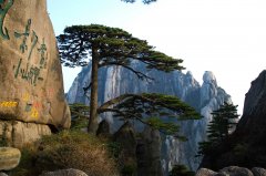 上海安徽內蒙古旅游業(yè)融合發(fā)展 攜手掘金旅游市場