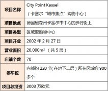 案例解剖：區域型購物中心為何失敗及如何成功？