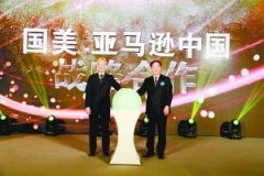 開放供應(yīng)鏈 國美入駐亞馬遜成最后稻草