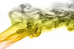 優雅還是狂野 品牌如何利用香氣撩撥消費者情緒？