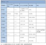 2016年上半年十大零售商業(yè)績?cè)敿?xì)解讀