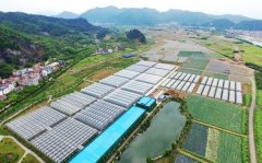 宋衛平的藍城農業要做 “服務商” 首個農莊開放