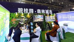 遭遇挫折后的森林城市啟動全球銷售計劃 碧桂園仍保持雄心勃勃