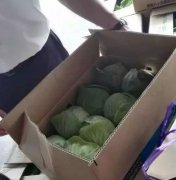 日本生鮮配送中心圖片賞析&經典生鮮配送中心構成