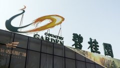 碧桂園挺進上海的700天