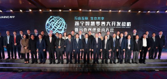蘇寧的新“圈地運動” 請來了地產界半壁江山
