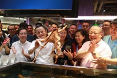 寧空置也要引進盒馬 新零售成商業地產主力店？