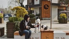 星巴克開了兩家寵物友好門店 社區化是新方向？