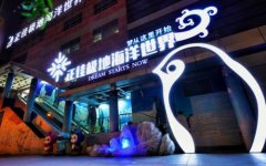 廣州正佳極地海洋世界2018年有望向3億目標沖擊