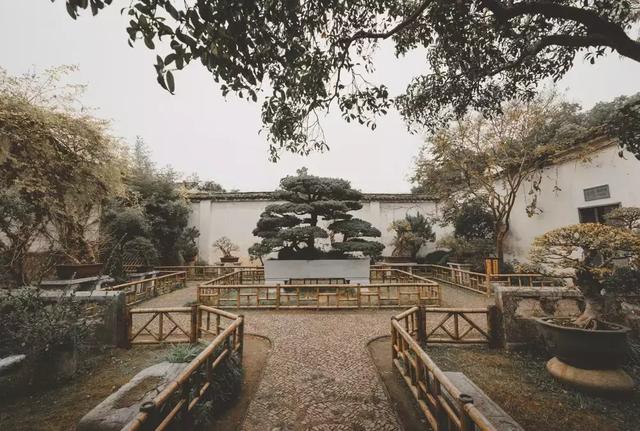 為什么江浙的特色小鎮(zhèn)與鄉(xiāng)村振興搞得好？