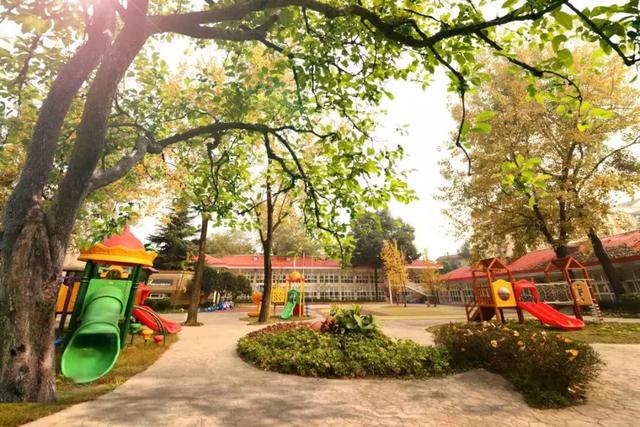 年收費(fèi)19 .8萬的“森林幼兒園”運(yùn)營需要注意什么呢？
