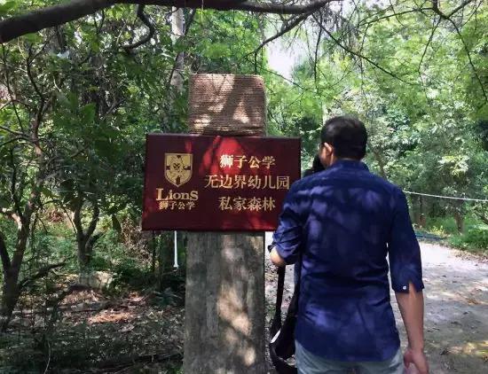 年收費(fèi)19 .8萬的“森林幼兒園”運(yùn)營需要注意什么呢？