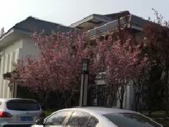 商業(yè)地產：唯不斷求新創(chuàng)意，方可永保“青春”