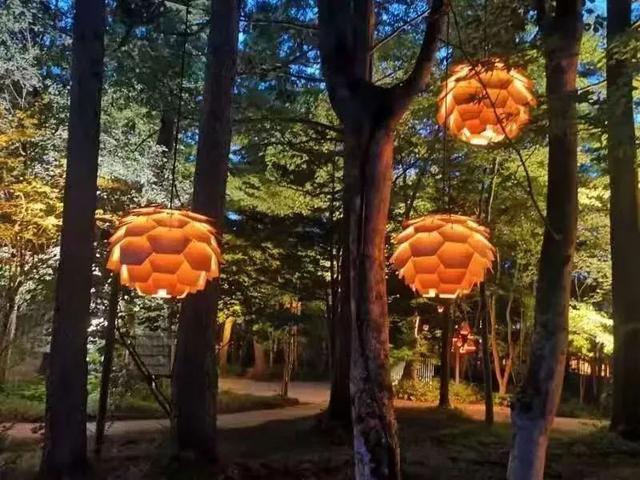 pȣ҂lȼٵײ