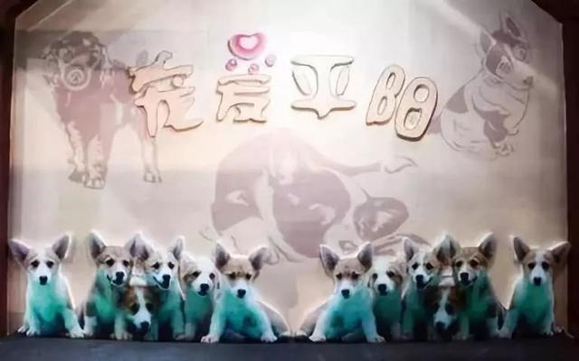 特色小鎮(zhèn)十大開發(fā)類型及經(jīng)典案例解讀