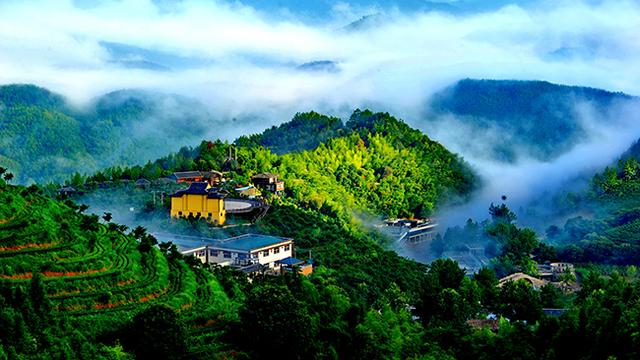 虔心小鎮：茶旅結合的生態旅游特色小鎮