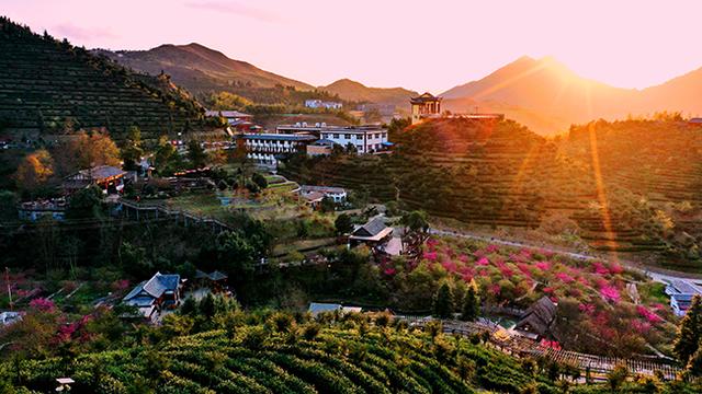 虔心小鎮：茶旅結合的生態旅游特色小鎮