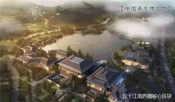 從成功案例看中醫藥小鎮產業規劃與發展路徑