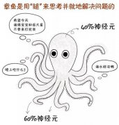 陷入窘境的購物商場，邊緣計算能救嗎？