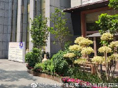 “十一”樓市平淡中分化，返鄉(xiāng)置業(yè)支撐三四線好于預(yù)期