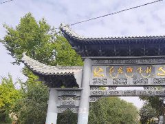 「提速革命」的背后，品牌靠什么變革？